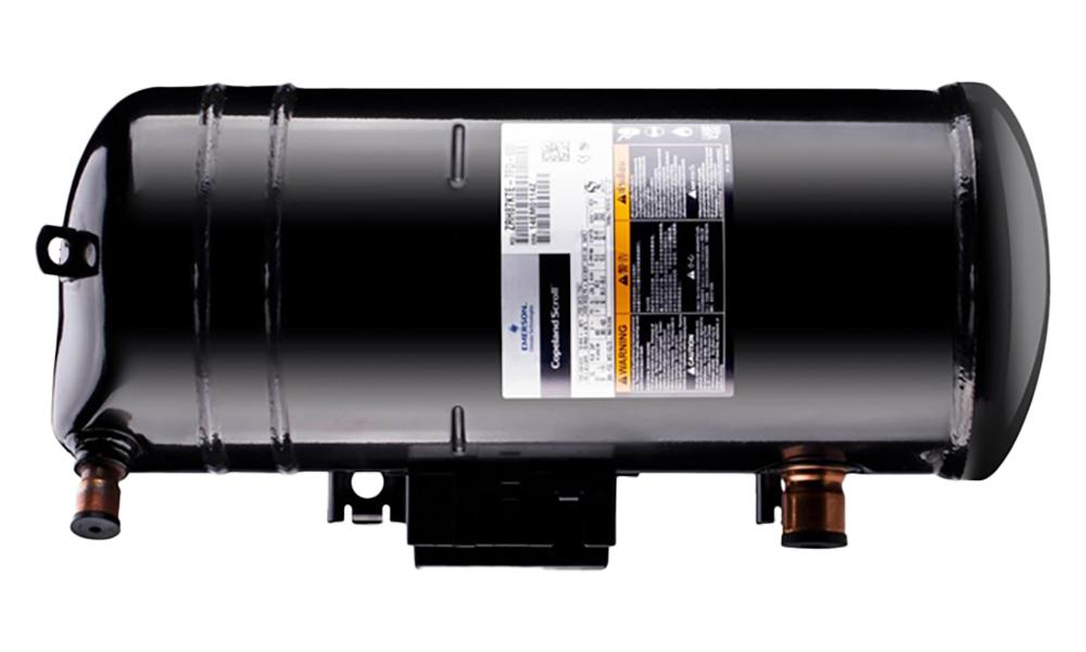 Kim hotkinkyjoni yoqtirishi mumkin